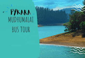 Pykara Mudhumalai Bus Tour